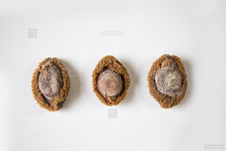 干制海產品鮑魚